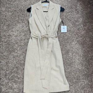 Calvin Klein Dress